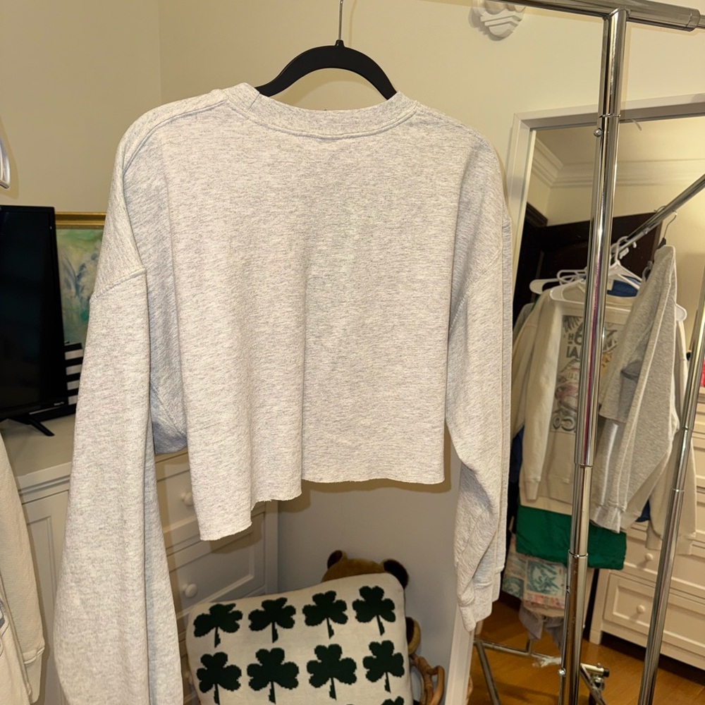 Heather Gray South Carolina Cropped Sweatshirt - Picture 2 of 2